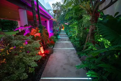 NIGHT-LIGHTS-3
