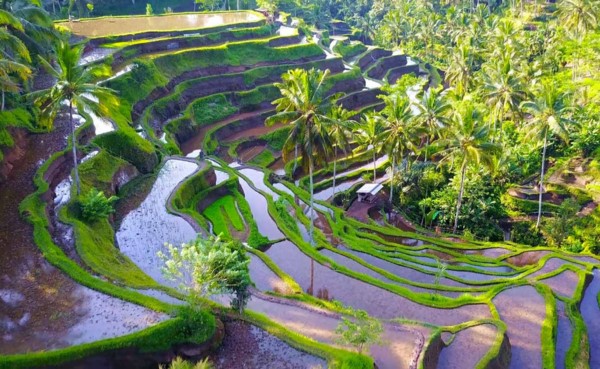 DAY TRIPS & EXPERIENCES