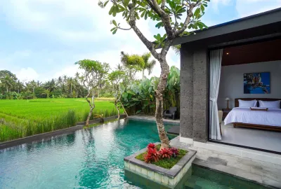 Pool-Sierra-Vista-1-Private-Luxury-Villa-Ubud-2