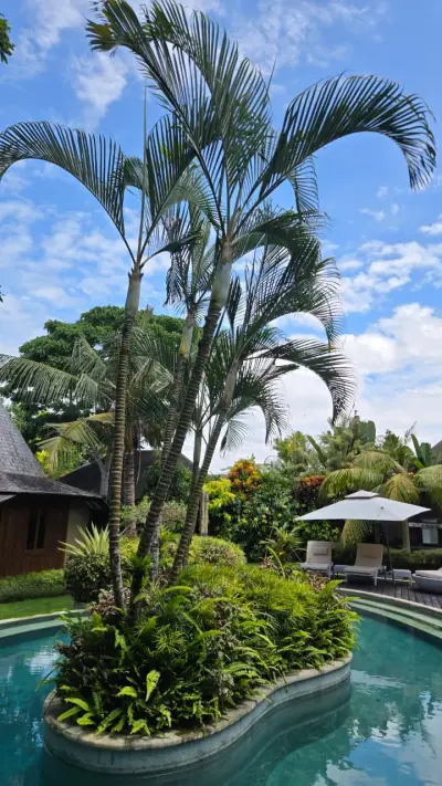 Island-pool